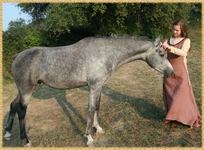 sHnede2Celkova.jpg